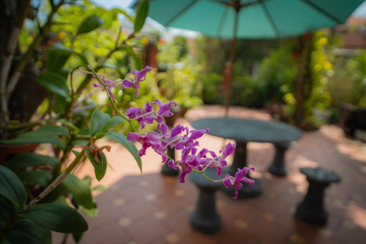 Strawberry Garden Homestay Hoi An Eksteriør bilde